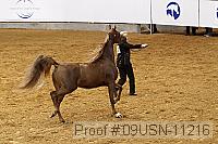 09usn-11216 proof