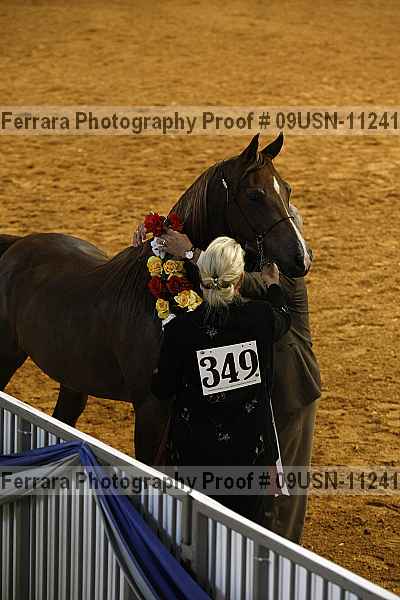 Proof 09usn-11241