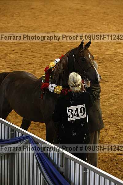 Proof 09usn-11242