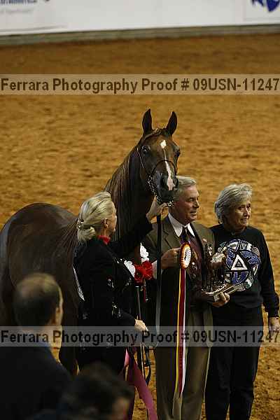 Proof 09usn-11247
