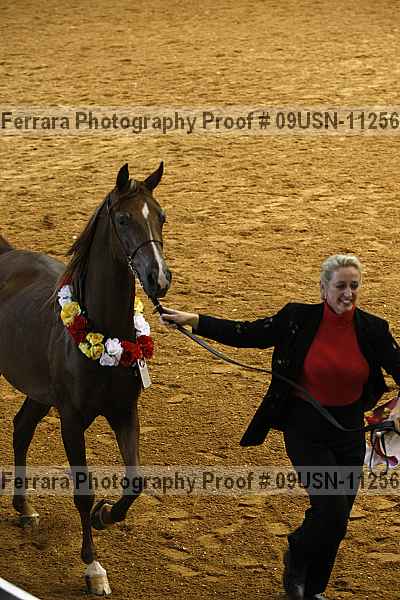 Proof 09usn-11256