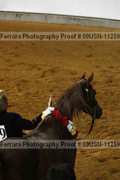 Proof 09usn-11259