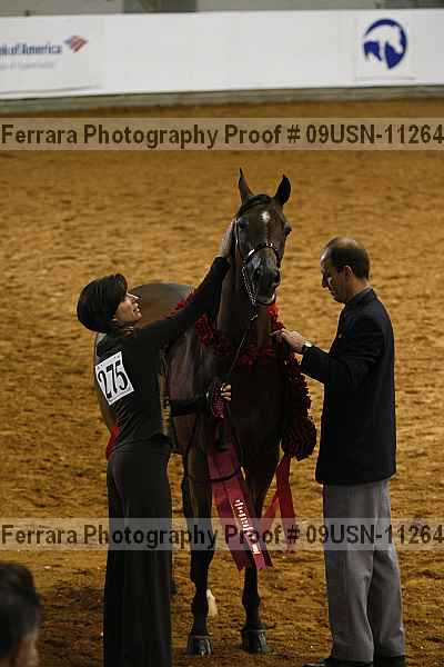 Proof 09usn-11264