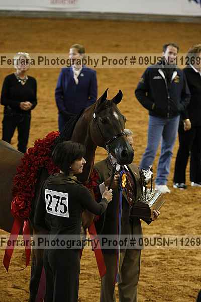 Proof 09usn-11269