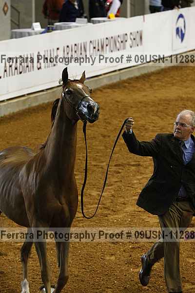 Proof 09usn-11288