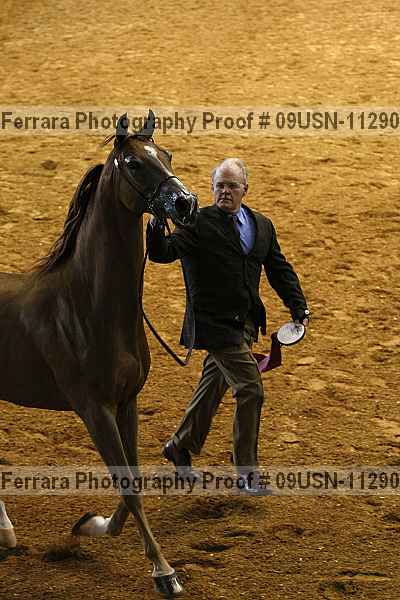 Proof 09usn-11290