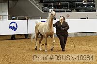 09usn-10984 proof