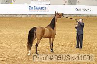 09usn-11001 proof