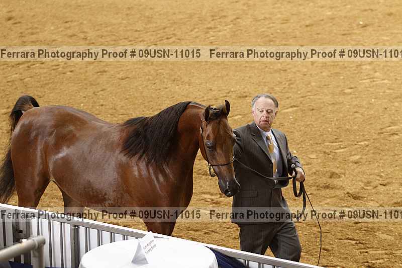 Proof 09usn-11015
