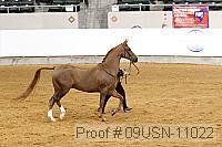 09usn-11022 proof