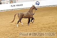 09usn-11026 proof