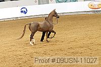 09usn-11027 proof