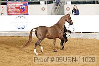 09usn-11028 proof
