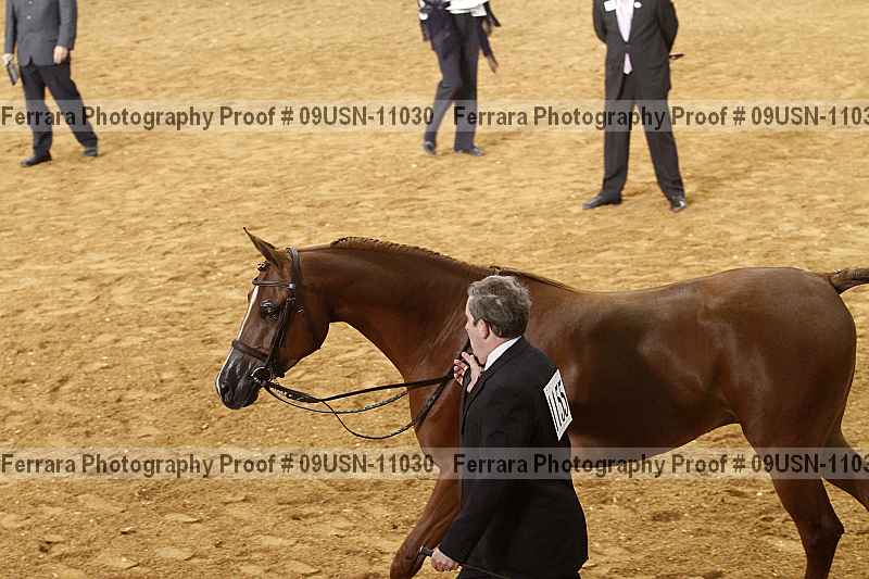 Proof 09usn-11030