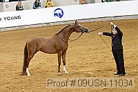 09usn-11034 proof