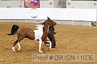 09usn-11036 proof