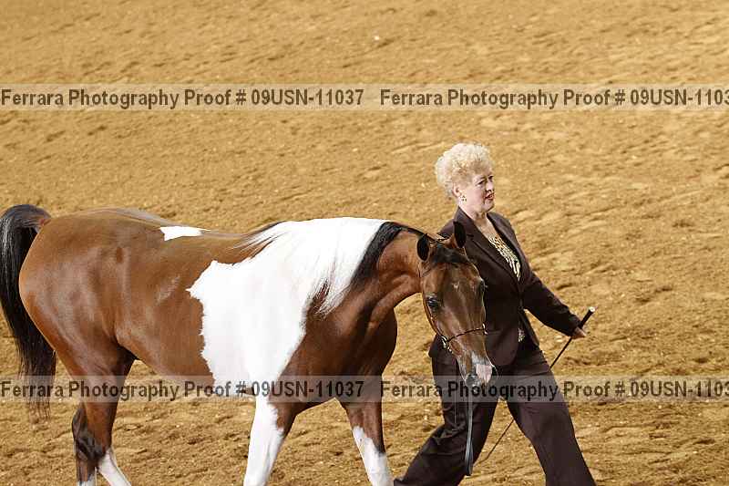 Proof 09usn-11037