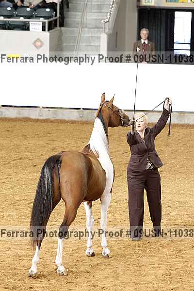 Proof 09usn-11038