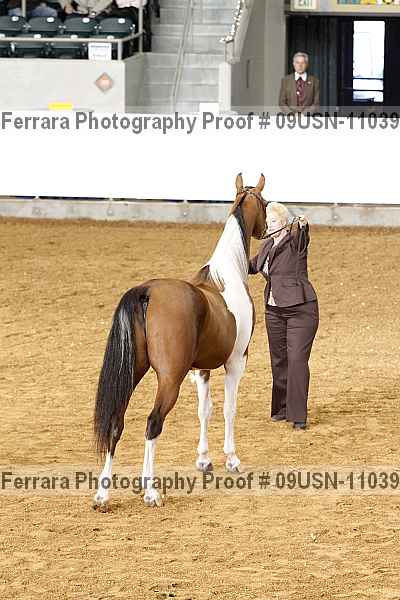 Proof 09usn-11039