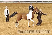 09usn-11040 proof