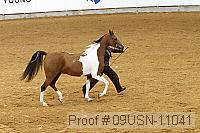 09usn-11041 proof