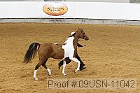 09usn-11042 proof