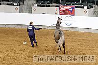 09usn-11043 proof