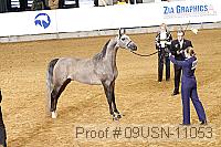 09usn-11053 proof