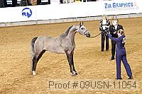 09usn-11054 proof