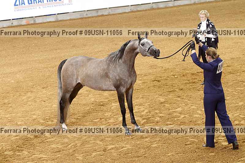 Proof 09usn-11056