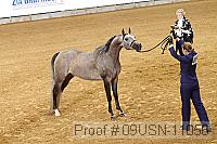 09usn-11056 proof