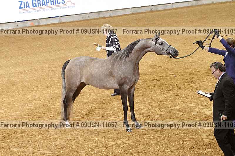 Proof 09usn-11057