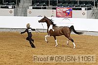 09usn-11061 proof