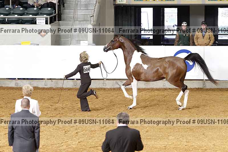 Proof 09usn-11064