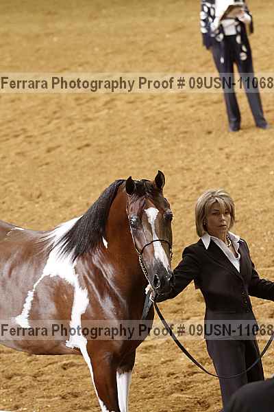 Proof 09usn-11068