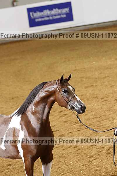 Proof 09usn-11072