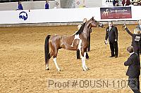 09usn-11073 proof