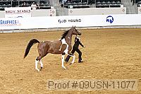 09usn-11077 proof