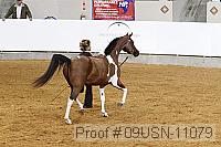 09usn-11079 proof