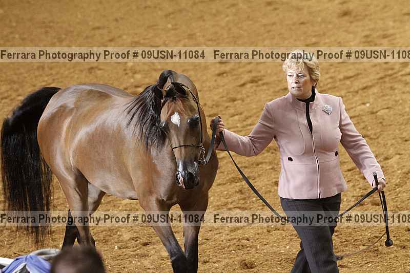 Proof 09usn-11084