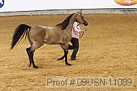 09usn-11089 proof