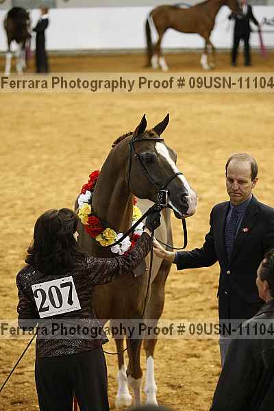 Proof 09usn-11104