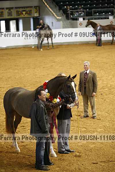 Proof 09usn-11108