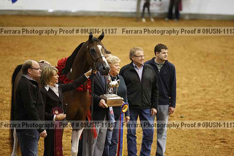 Proof 09usn-11137