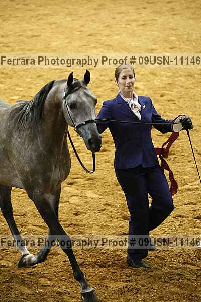 Proof 09usn-11146