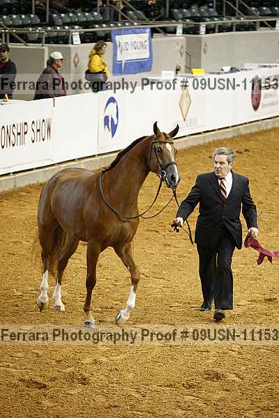 Proof 09usn-11153