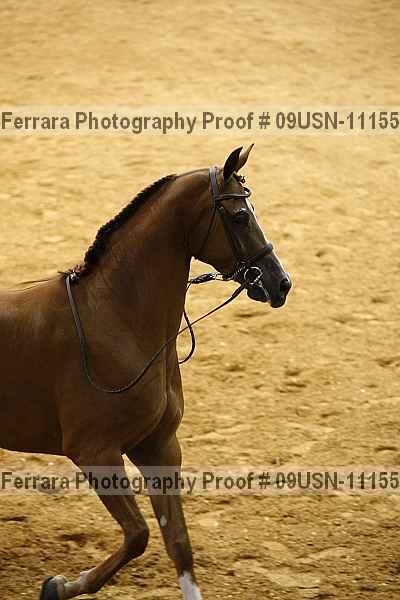 Proof 09usn-11155