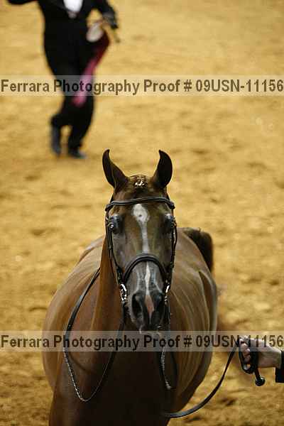 Proof 09usn-11156