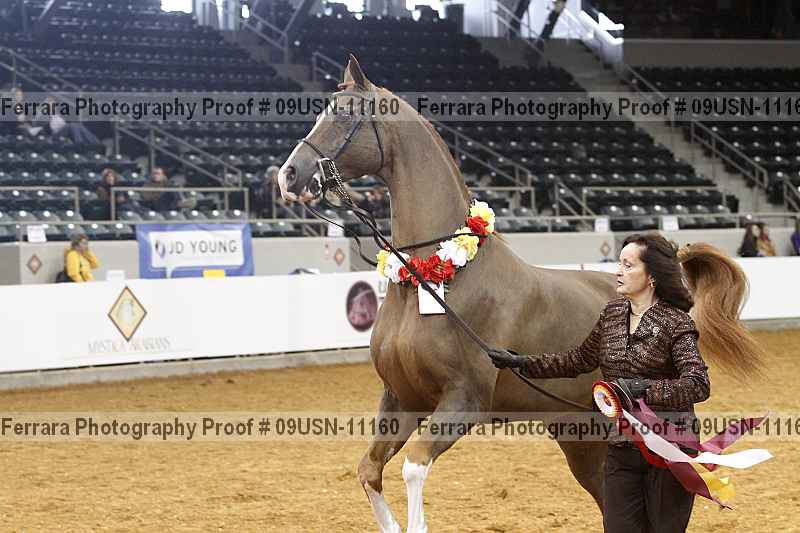 Proof 09usn-11160