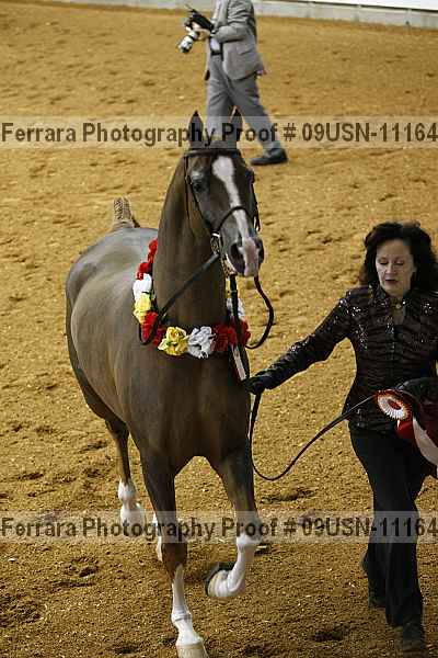 Proof 09usn-11164